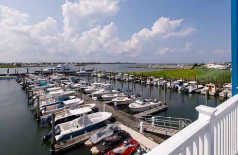 View of a marina with multiple boat slips on calm water